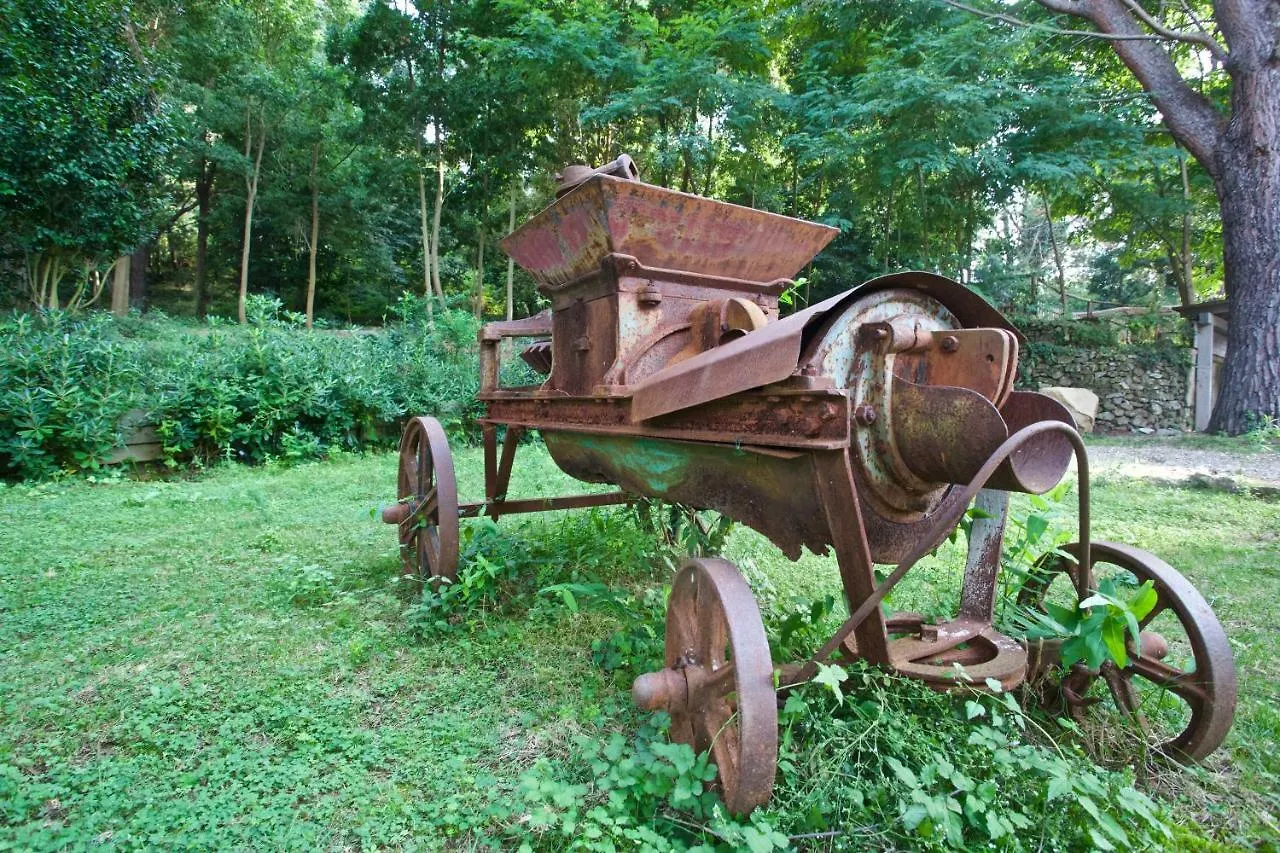 Farm stay Villa Musolino - Country Resort Messina